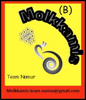Molkkamis Team Namur