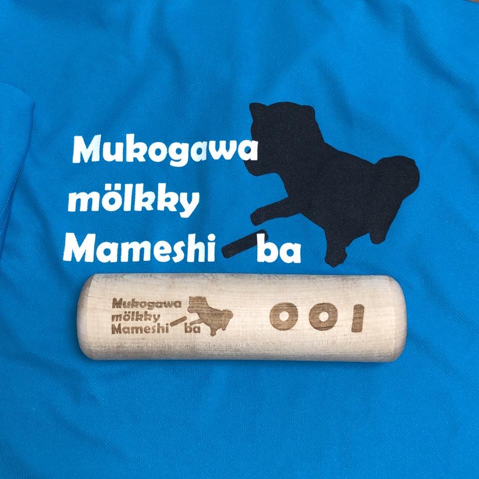 Mukogawa Mölkky